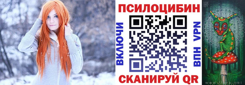 Псилоцибиновые грибы Psilocybe  Каспийск 